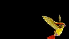 Pokemon black background