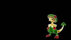 Pokemon black background