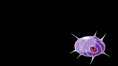 Pokemon black background