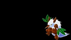 Pokemon black background