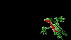 Pokemon black background