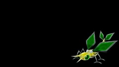 Pokemon black background