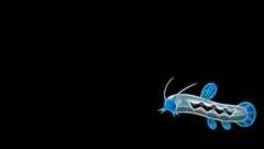 Pokemon black background