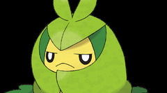 Pokemon black background