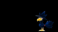 Pokemon black background Anime