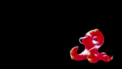 Pokemon black background Anime