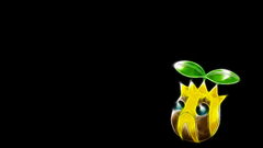 Pokemon black background Anime