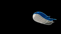 Pokemon black background Anime