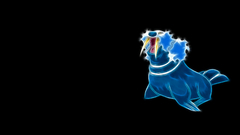 Pokemon black background Anime