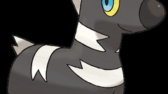 Pokemon black background Anime