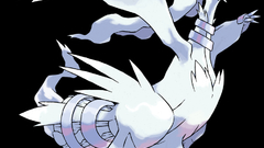 Pokemon black background Anime