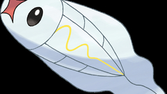 Pokemon black background Anime