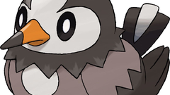 Pokemon black background Anime