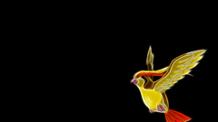 Pokemon black background Pidgeotto