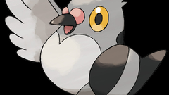 Pokemon black background pidove