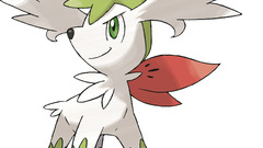 Pokemon black background Shaymin