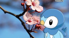 Pokemon blossom
