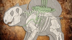 Pokemon bulbasaur anatomy