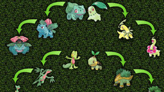 Pokemon bulbasaur Venusaur Ivysaur