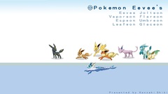 Pokemon eevee umbreon Eeveelutions
