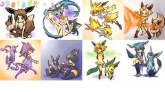 Pokemon Eeveelutions hitec