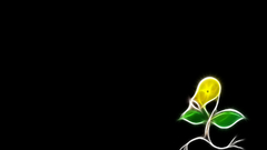 Pokemon Fractalius Bellsprout black