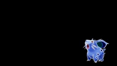 Pokemon Fractalius black background