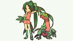 Pokemon Grovyle hitec