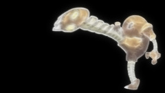 Pokemon HItmonlee Simple Background