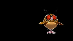 Pokemon hoothoot black background