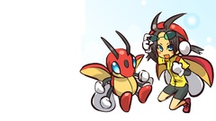 Pokemon libra Ledian hitec