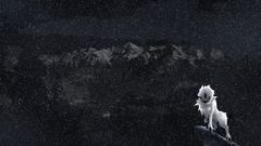 Pokemon Mountains snow absol