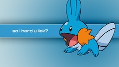 Pokemon Mudkip