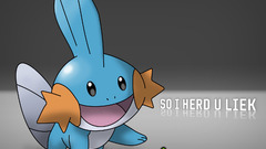 Pokemon Mudkip Anime