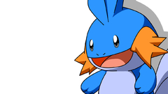 Pokemon Mudkip Anime