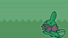 Pokemon Mudkip Anime
