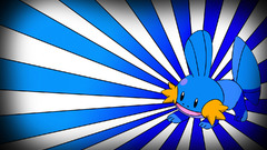 Pokemon Mudkip cartoon