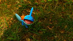 Pokemon Mudkip cartoon