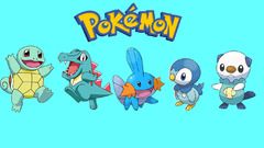 Pokemon Mudkip squirtle totodile