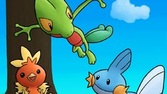 Pokemon Mudkip Torchic Treecko