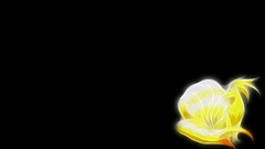 Pokemon Ninetails background Anime