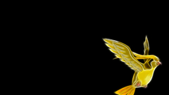 Pokemon Pidgeot black background