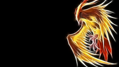 Pokemon Pidgeot black background