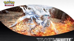 Pokemon Reshiram