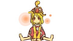 Pokemon Shuckle hitec