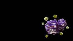 Pokemon Simple Background black