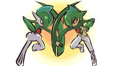 Pokemon Simple Background hitec