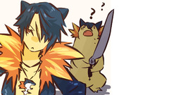 Pokemon Simple Background typhlosion