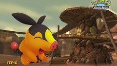 Pokemon Tepig