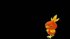 Pokemon Torchic black background